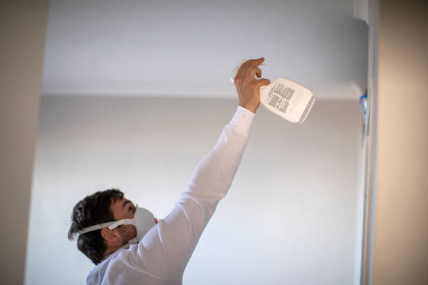 Best Certified Mold Removal  in Pelion, SC